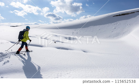 雪鞋徒步旅行的形象 鳥取沙丘的雪景 115652538