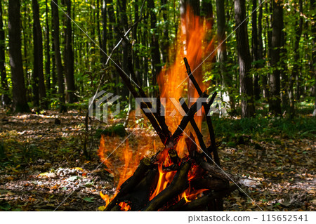 Flame of charcoal fire. Hearth for cooking and heating. Danger in forest 115652541