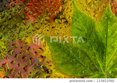 abstract background fall, glass drops autumn yellow leaves wet october weather 115652560