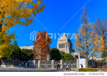 東京千代田區永田町國會議事堂周圍的秋葉 115652783