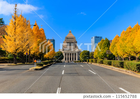 Tokyo Chiyoda Ward Nagatacho Autumn leaves around the National Diet Building Tokyo Chiyoda Ward Nagatacho Autumn leaves around the National Diet Building 115652788
