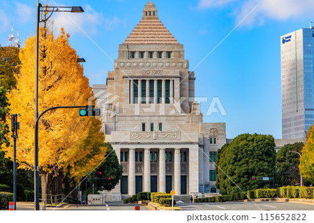 東京千代田區永田町國會議事堂周圍的秋葉 115652822