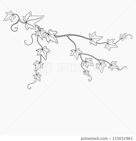 Floral ivy drawing decorative ornament flat design. 115652961