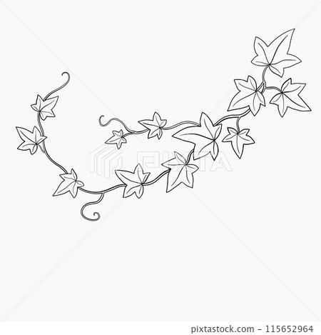 Floral ivy drawing decorative ornament flat design. Floral ivy drawing decorative ornament flat design. 115652964