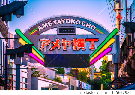 Tokyo cityscape in Japan Inbound tourism is back... (Ameyoko, bustling with foreign tourists) = May 3, 2024 Tokyo cityscape in Japan Inbound tourism is back... (Ameyoko, bustling with foreign tourists) = May 3, 2024 115652985