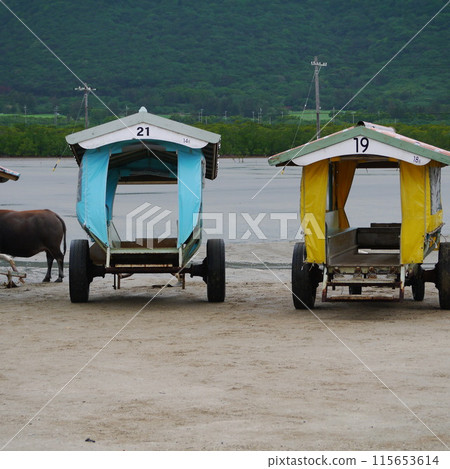 布法羅汽車 115653614