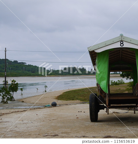 布法羅汽車 115653619