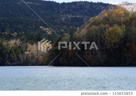 奧內託的秋葉 115653853