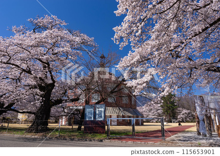 "La Ruche" at Kiyoharu Art Village surrounded by cherry blossoms in full bloom under clear skies "La Ruche" at Kiyoharu Art Village surrounded by cherry blossoms in full bloom under clear skies 115653901