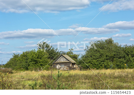Wooden rural house amongst the trees in Sunny weather Wooden rural house amongst the trees in Sunny weather 115654423