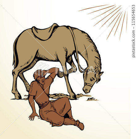 Vector drawing. A man fall from the horse 115654653