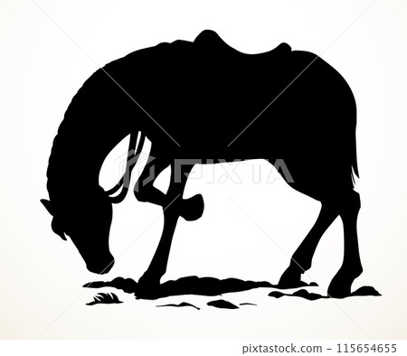 Vector drawing. A horse eating the grass 115654655