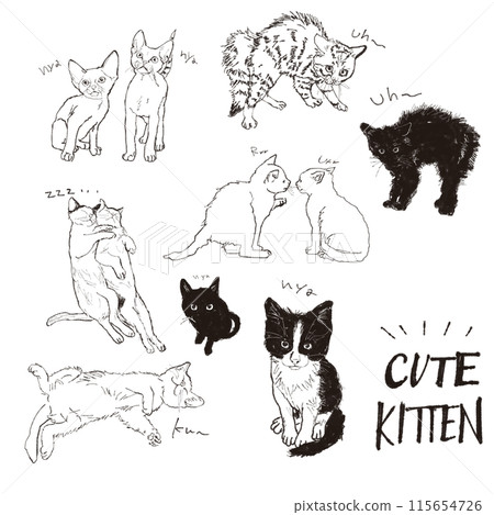 小貓線畫插圖集 115654726