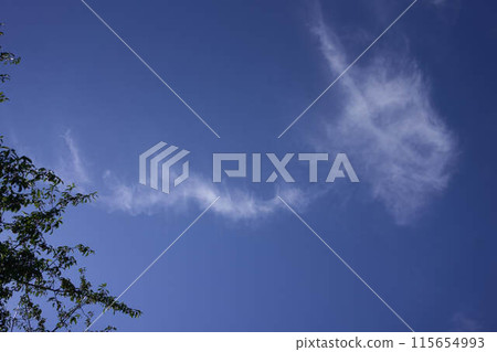 the sky on a summer day with white cirrus clouds 115654993