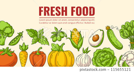 Fresh food and vegetables, harvesting. Horizontal vector banner. Isolated background, space for text. Healthy farm organic products, natural veggies icons. For poster, menu, flyer, web design 115655121