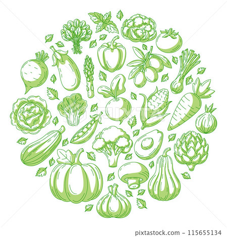 Farm fresh vegetables, round shape form. Veggies vector green line icons on isolated background. Organic food, natural eco products. Square card for banner, poster, menu, social media, web design 115655134