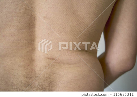 back and lower back of a thirty year old man of medium build back and lower back of a thirty year old man of medium build 115655311