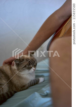 a young man is learning to play the guitar at home, a cat is lying next to him and listening a young man is learning to play the guitar at home, a cat is lying next to him and listening 115655580