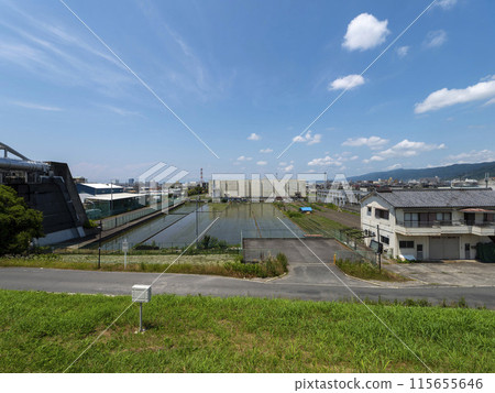 有稻田的小鎮風景 有稻田的小鎮風景 115655646