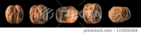Macro photo of whole walnut isolated on a black background with clipping path Macro photo of whole walnut isolated on a black background with clipping path 115656368
