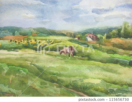 Watercolor cow in a meadow. 115656730