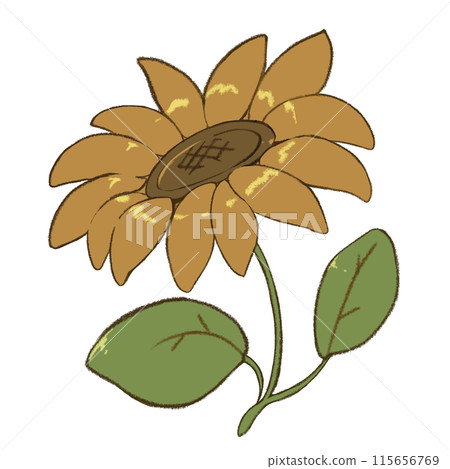 簡單復古風格向日葵花圖 115656769