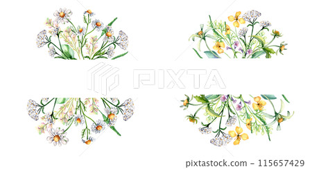 Frames with different medicinal plants, herbs watercolor illustration isolated on white. Achillea millefolium, yarrow in sketch. Bur marigold, celandine flower hand drawn. Design for label, package 115657429