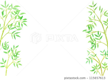 水彩畫竹子和竹林手繪插畫 水彩畫竹子和竹林手繪插畫 115657613