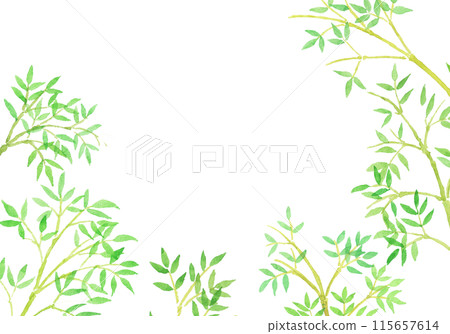 水彩畫竹子和竹林手繪插畫 水彩畫竹子和竹林手繪插畫 115657614