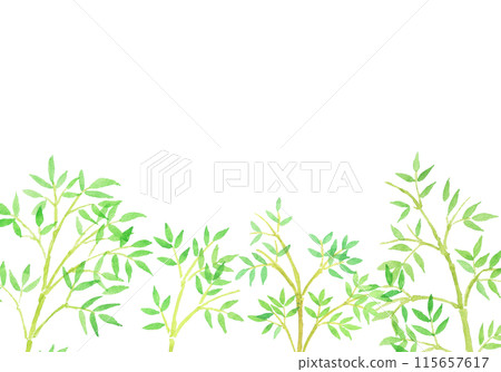 水彩畫竹子和竹林手繪插畫 水彩畫竹子和竹林手繪插畫 115657617