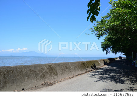 Sumiyoshi Nature Park and Sumiyoshi Shrine 115657682