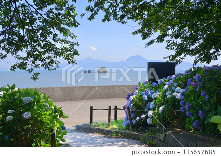 住在吉自然公園和住吉神社 115657685