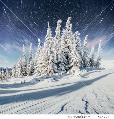 starry sky in winter snowy night. fantastic milky way in the New Year's Eve. In anticipation of the holiday. Dramatic scene. Carpathian. Ukraine 115657740