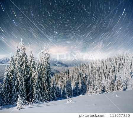 Dairy Star Trek in the winter woods. Dramatic and picturesque scene. In anticipation of the holiday. 115657850