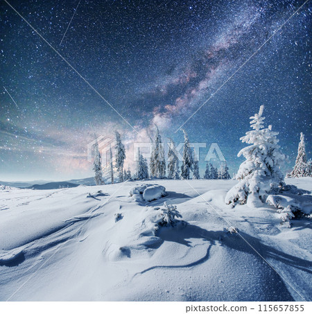 Dairy Star Trek in the winter woods. Dramatic and picturesque scene. In anticipation of the holiday. Dairy Star Trek in the winter woods. Dramatic and picturesque scene. In anticipation of the holiday. 115657855