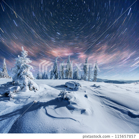 starry sky in winter snowy night. fantastic milky way in the New Year's Eve. In anticipation of the holiday. Dramatic scene. Carpathian. Ukraine starry sky in winter snowy night. fantastic milky way in the New Year's Eve. In anticipation of the holiday. Dramatic scene. Carpathian. Ukraine 115657857