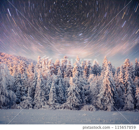 starry sky in winter snowy night. fantastic milky way in the New Year's Eve. In anticipation of the holiday. Dramatic scene. Carpathian. Ukraine starry sky in winter snowy night. fantastic milky way in the New Year's Eve. In anticipation of the holiday. Dramatic scene. Carpathian. Ukraine 115657859