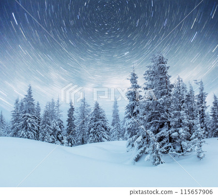starry sky in winter snowy night. fantastic milky way in the New Year's Eve. In anticipation of the holiday. Dramatic scene. Carpathian. Ukraine starry sky in winter snowy night. fantastic milky way in the New Year's Eve. In anticipation of the holiday. Dramatic scene. Carpathian. Ukraine 115657906