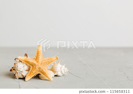 Summer time concept with sea shells or starfish on a table background with copy space for text Summer time concept with sea shells or starfish on a table background with copy space for text 115658311