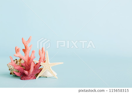 Summer time concept with sea shells or starfish on a table background with copy space for text Summer time concept with sea shells or starfish on a table background with copy space for text 115658315