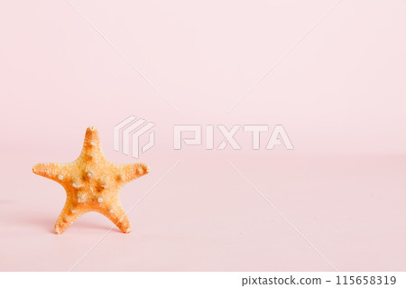 Summer time concept with sea shells or starfish on a table background with copy space for text Summer time concept with sea shells or starfish on a table background with copy space for text 115658319