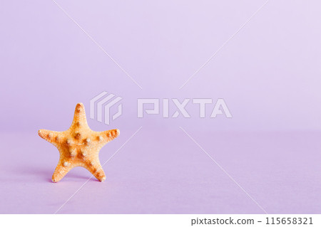 Summer time concept with sea shells or starfish on a table background with copy space for text Summer time concept with sea shells or starfish on a table background with copy space for text 115658321