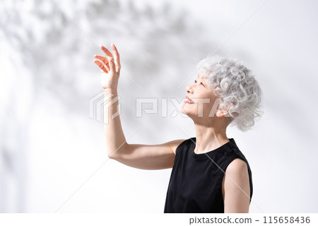Beauty Sunshine Gray Hair Woman Beauty Sunshine Gray Hair Woman 115658436
