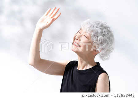 Beauty Sunshine Gray Hair Woman 115658442