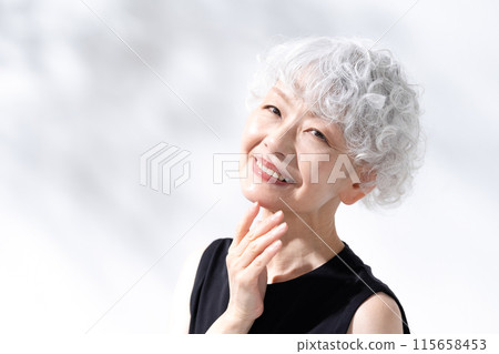 美麗陽光灰髮女人 115658453