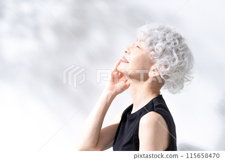 Beauty Sunshine Gray Hair Woman 115658470