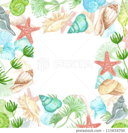 Hand drawn watercolor seashells frame border isolated on white background. Marine illustration can be used for card, label, invitation and other printed products. Hand drawn watercolor seashells frame border isolated on white background. Marine illustration can be used for card, label, invitation and other printed products. 115658700