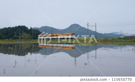 近江鐵道行駛 115658770