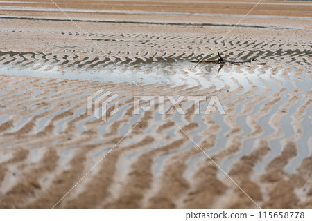 灘塗上的沙子泛起漣漪 115658778