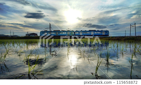 美好的日子 115658872